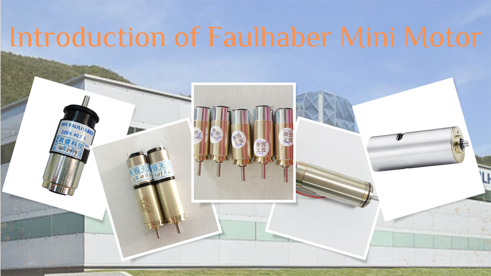 Faulhaber Mini Motor